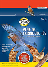 Charger l'image dans la galerie, PICARDIE VERS DE FARINE 100GR