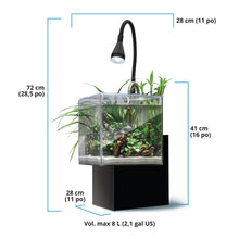 Charger l'image dans la galerie, Aquarium équipé Fluval Kühl pour l’aménagement miniature et aquaponie, 8 L (2,1 gal US), noir