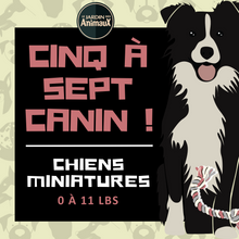 Charger l'image dans la galerie, 5 à 7 - Frais d'inscription à un regroupement par tailles de chien