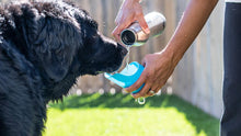 Charger l'image dans la galerie, Grandes bouteilles d'eau en acier inoxydable avec couvercle pour chien, capacité de 700 ml