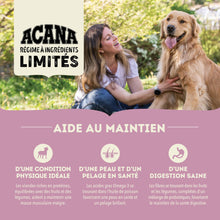 Charger l'image dans la galerie, ACANA Chien Simple Recette D'Agneau Avec Pomme