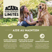 Charger l'image dans la galerie, ACANA Chien Simple Recette De Porc et Courge