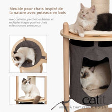 Charger l'image dans la galerie, Arbre à chat Catit Vesper - Moyen - 72 x 57,5 x 124,5 cm (28,3 x 22,6 x 49 po)