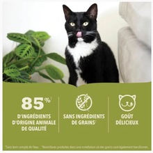Charger l'image dans la galerie, Conserve pour chat ACANA Premium Pâté, Recette Au Saumon