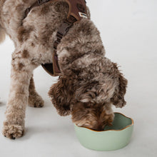 Charger l'image dans la galerie, Dexypaws Bol en céramique pour chien 50 oz - Vert sauge