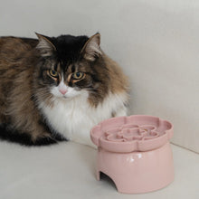 Charger l'image dans la galerie, Dexypaws Bol surélevé en céramique pour chat 7.75 oz - Avec ralentisseur - Forme de fleur - Rose poudré
