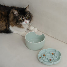 Charger l'image dans la galerie, Dexypaws Bol surélevé en céramique pour chat 7.75 oz - Avec ralentisseur - Forme de fleur - Vert sauge