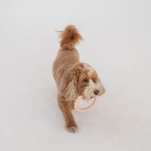 Charger l'image dans la galerie, Dexypaws Jouet à mâcher durable pour chien - Duo d'anneaux, Beige & noir