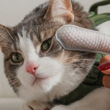 Charger l'image dans la galerie, Dexypaws Lingettes doigt pour chat - Soins des yeux, oreilles & nez - Sans parfum
