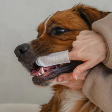 Charger l'image dans la galerie, Dexypaws Lingettes doigt pour chien - Soins Dentaires - Sans parfum - Paquet de 100