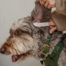 Charger l'image dans la galerie, Dexypaws Lingettes doigt pour chien - Soins des yeux, oreilles & nez - Sans parfum