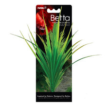 Charger l'image dans la galerie, Plante Betta de qualité supérieure - Myriophylle aquatique - 20 cm (8 po)