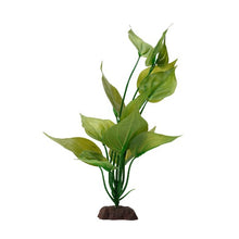 Charger l'image dans la galerie, Plante Aqualife Fluval avec base de pierre - Saurure penché - 20 cm (8 po)
