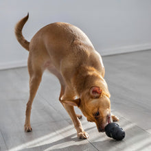 Charger l'image dans la galerie, Kong Extreme Jouet pour chiens - Noir