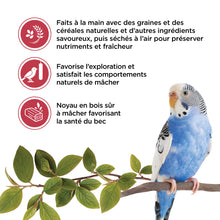Charger l'image dans la galerie, Living World Gâteries pour perruches - Bâtonnets aux fruits - Paquet de 2 - 90 gr