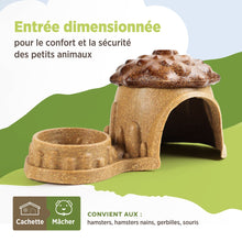 Charger l'image dans la galerie, Living World Cachette comestible - Noisonnette - Brune - 230 gr (8,1 oz)