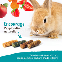 Charger l'image dans la galerie, Living World Gâteries Grignotines pour petits animaux - Mélange de saveurs - 75 gr