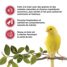 Charger l'image dans la galerie, Living World Gâteries pour serins - Bâtonnets aux fruits - Paquet de 2 - 60 gr