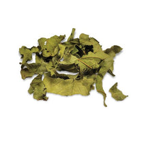 Charger l'image dans la galerie, Gâteries de feuilles séchées Botanicals Living World Green - Feuilles de goyavier - 10 gr (0,35 oz)