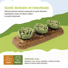 Charger l'image dans la galerie, Living World Jouet à mâcher comestible - Carré de choux - Multicolore - 165 gr (5,8 oz)