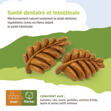 Charger l'image dans la galerie, Living World Jouet à mâcher comestible - Feuilles - Brun - Paquet de 6 - 140 gr (4,9 oz)