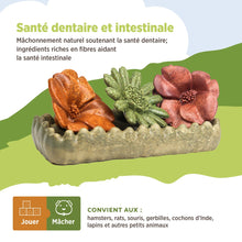 Charger l'image dans la galerie, Living World Jouet à mâcher comestible - Lit de fleurs - Multicolore - 150 gr (5,2 oz)