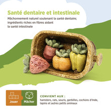 Charger l'image dans la galerie, Living World Jouet à mâcher comestible - Panier de récolte - Multicolore - 158 gr (5,5 oz)