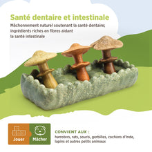 Charger l'image dans la galerie, Living World Jouet à mâcher comestible - Parcelle de champignons - Multicolore - 170 gr (5,9 oz)