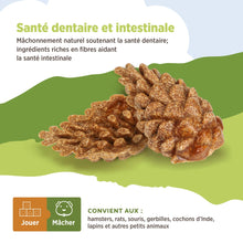 Charger l'image dans la galerie, Living World Jouet à mâcher comestible - Pommes de pin - Brun - Paquet de 6 - 66 gr