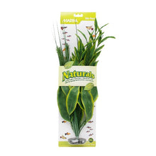 Charger l'image dans la galerie, Dracéna Naturals Marina en soie, vert, grand, 33-35,5 cm (13-14 po)