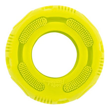 Charger l'image dans la galerie, Messy Mutts "Totally Pooched, Stuff 'n Brush" Jouet Pneu en caoutchouc pour chien, Vert