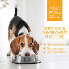 Charger l'image dans la galerie, Nutrience garnitures Style maison pour chiens - Poulet bouddha - 152 gr