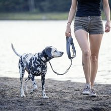 Charger l'image dans la galerie, Nuvuq Laisse multifonctionnelle pour chien, Poivre noir