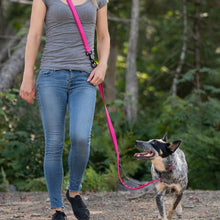 Charger l'image dans la galerie, Nuvuq Laisse multifonctionnelle pour chien, Rose framboise