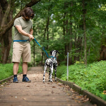 Charger l'image dans la galerie, Nuvuq Laisse multifonctionnelle pour chien, Bleu Bleuet