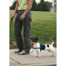 Charger l'image dans la galerie, PetSafe Harnais pour chien deluxe "Easy Walk" - Rouge