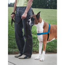 Charger l'image dans la galerie, PetSafe Harnais pour chien deluxe "Easy Walk" - Rouge