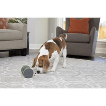Charger l'image dans la galerie, Petsafe Distributeur de gâteries pour chien "Mobile Kibble Chase"