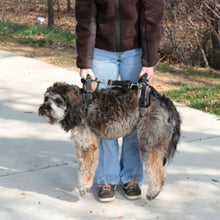 Charger l'image dans la galerie, Petsafe Harnais de levage pour chien CareLift - Corps complet