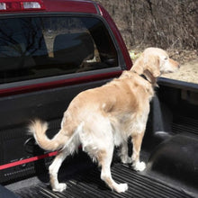Charger l'image dans la galerie, Petsafe Ligne de sécurité pour voiture Pupzip