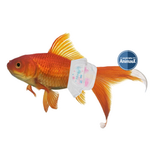 Charger l'image dans la galerie, Couche H2ya Aqua-Confort pour poissons incontinents