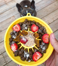 Charger l'image dans la galerie, Dog's Crush -Bol ralentisseur pour chien - Citron