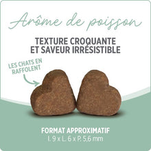 Charger l'image dans la galerie, Suppléments Nutrience Care pour chats - Boules de poils+ 180 g