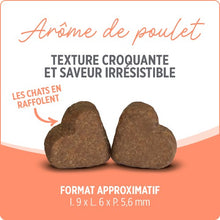 Charger l'image dans la galerie, Suppléments Nutrience Care pour chats - Probiotique+ 180 gr