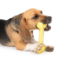 Charger l'image dans la galerie, Os Duo Zeus, parfum de noix de coco, jaune, 18 cm (7 po)