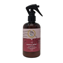 Charger l'image dans la galerie, Accélérateur de séchage et anti-frisottis Blow My Secret