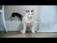 Charger et lire la vidéo dans la visionneuse de la Galerie, Petsafe Jouet Interactif Pour Chat, "zip" à Lumière Laser Automatique