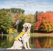 Charger l'image dans la galerie, Veste de flottaison pour chien (XS) - Life Jacket - GF Pet