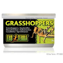 Charger l'image dans la galerie, Aliments en conserve Exo Terra, Sauterelles, 34 g (1,2 oz) - Boutique Le Jardin Des Animaux -nourriture reptileBoutique Le Jardin Des AnimauxPT1950