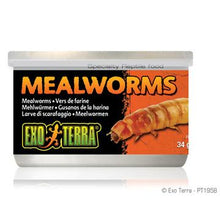 Charger l'image dans la galerie, Aliments en conserve Exo Terra, Vers de farine, 34 g (1,2 oz) - Boutique Le Jardin Des Animaux -nourriture reptileBoutique Le Jardin Des AnimauxPT1958
